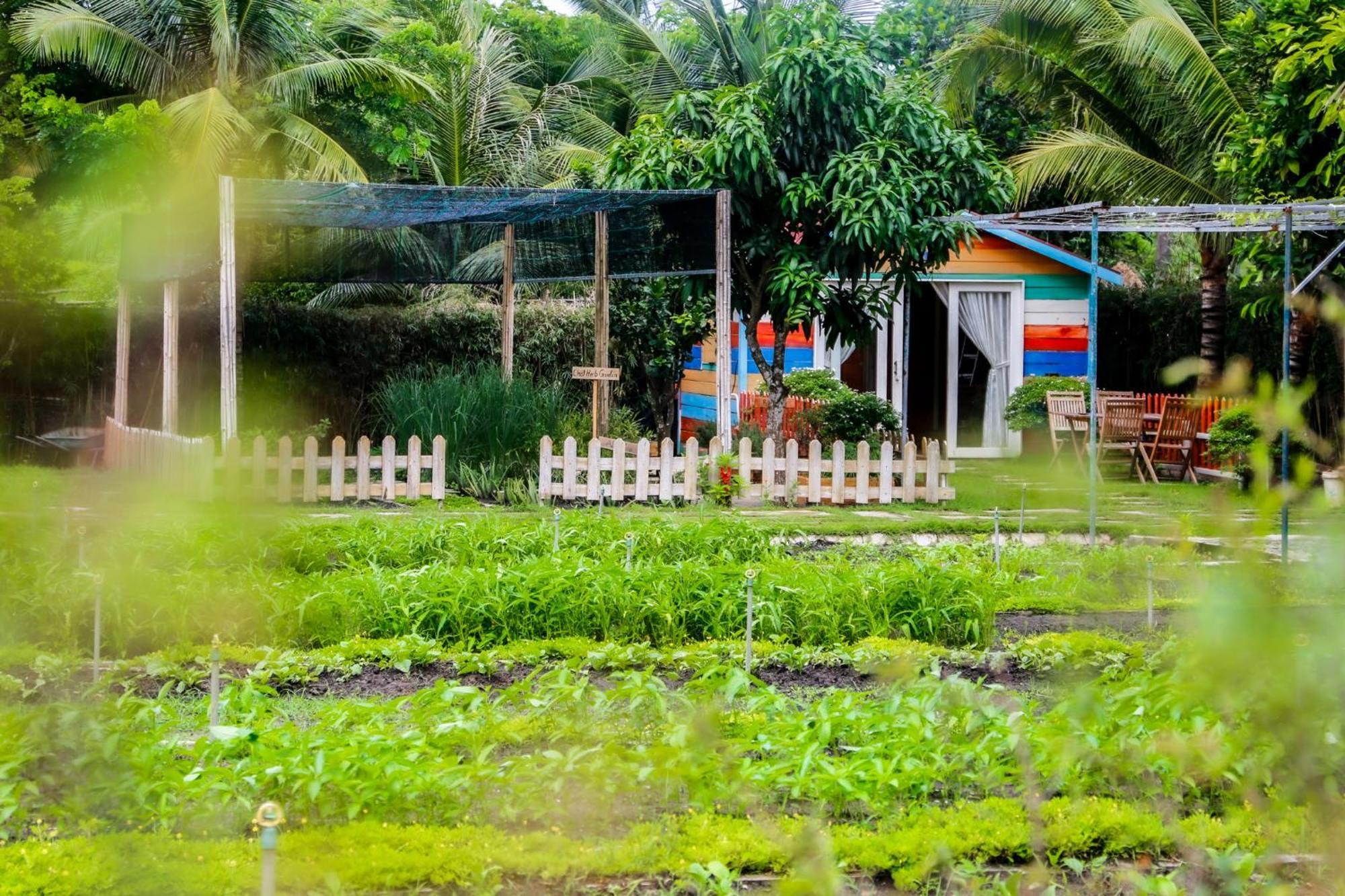 Melia Ho Tram Beach Resort Exterior photo A farm in the Philippines